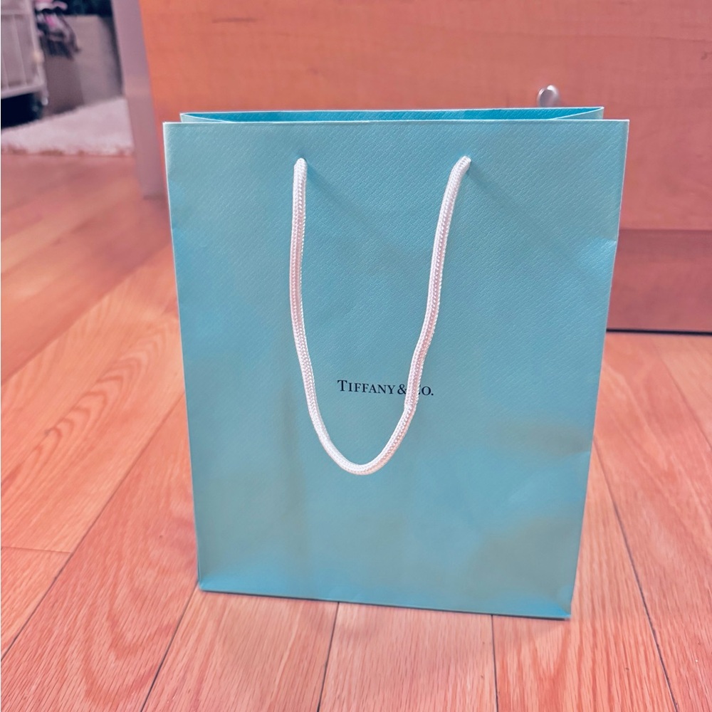 Tiffany & Co shopping bag